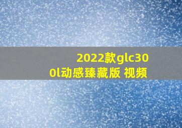 2022款glc300l动感臻藏版 视频